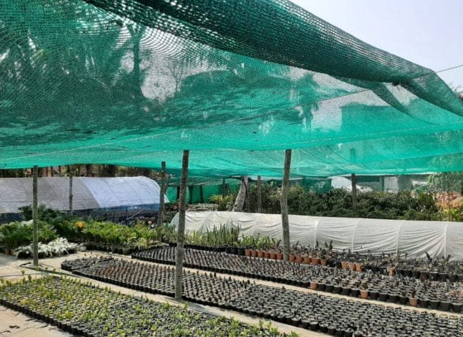Green agro shade netting installed over a plant nursery